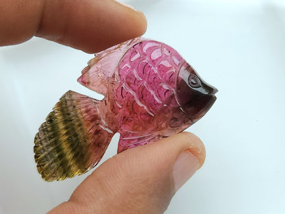 Natural Bi-Tourmaline Carved Fishes For Charms & Pendants