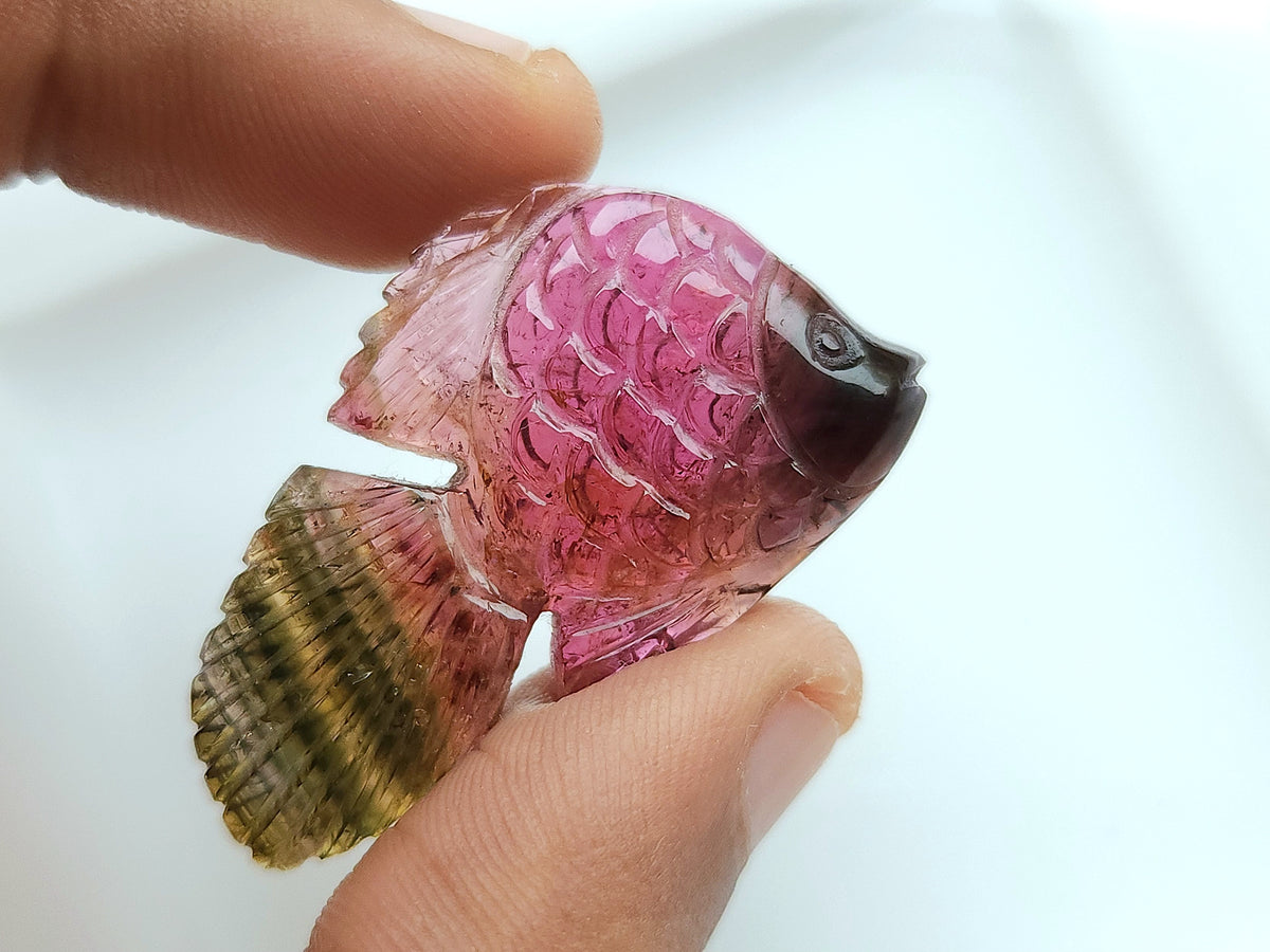 Natural Bi-Tourmaline Carved Fishes For Charms & Pendants