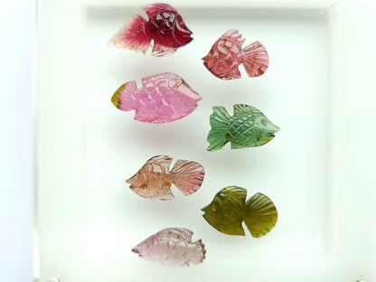 Natural Bi-Tourmaline Carved Fishes For Charms & Pendants