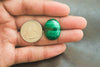Highly Polished Malachite Oval Cabochon | 18x24mm | Excellent Quality For Jewelry Making / Wire Wrapping | Natural Malachite Gemstone Beadsforyourjewelry