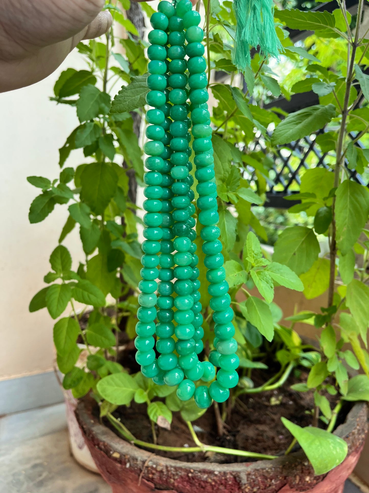 Chrysoprase Chalcedony Smooth Rondelle Beads