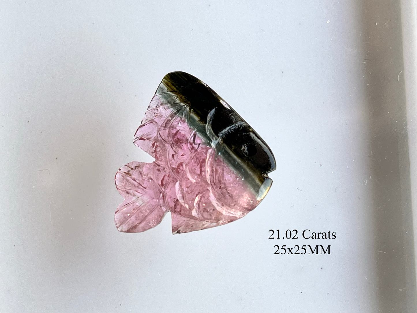 Rare! Natural Tourmaline Fish Carving loose