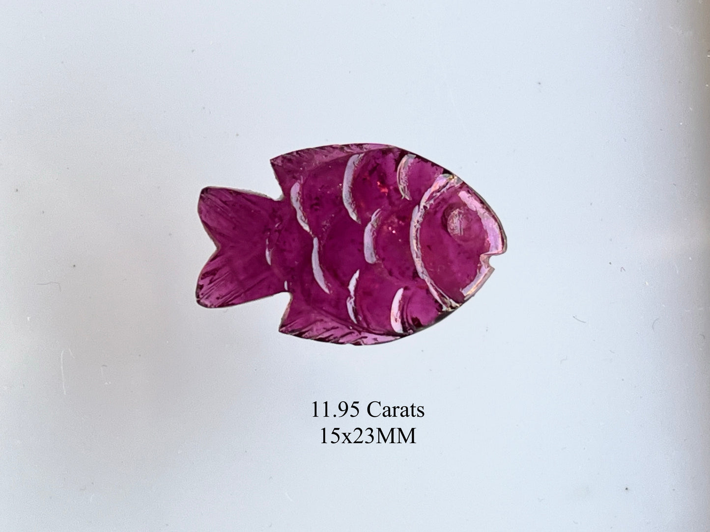 Rare! Natural Tourmaline Fish Carving loose