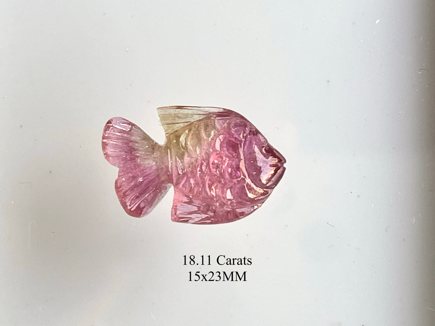 Rare! Natural Tourmaline Fish Carving loose