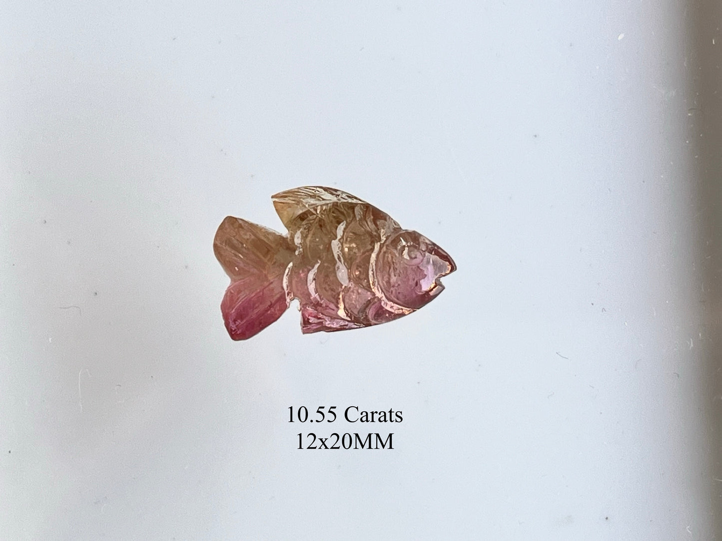 Rare! Natural Tourmaline Fish Carving loose