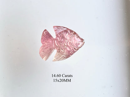 Rare! Natural Tourmaline Fish Carving loose