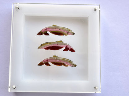 Rare! Natural Tri-Color Tourmaline Dolphin Carving loose