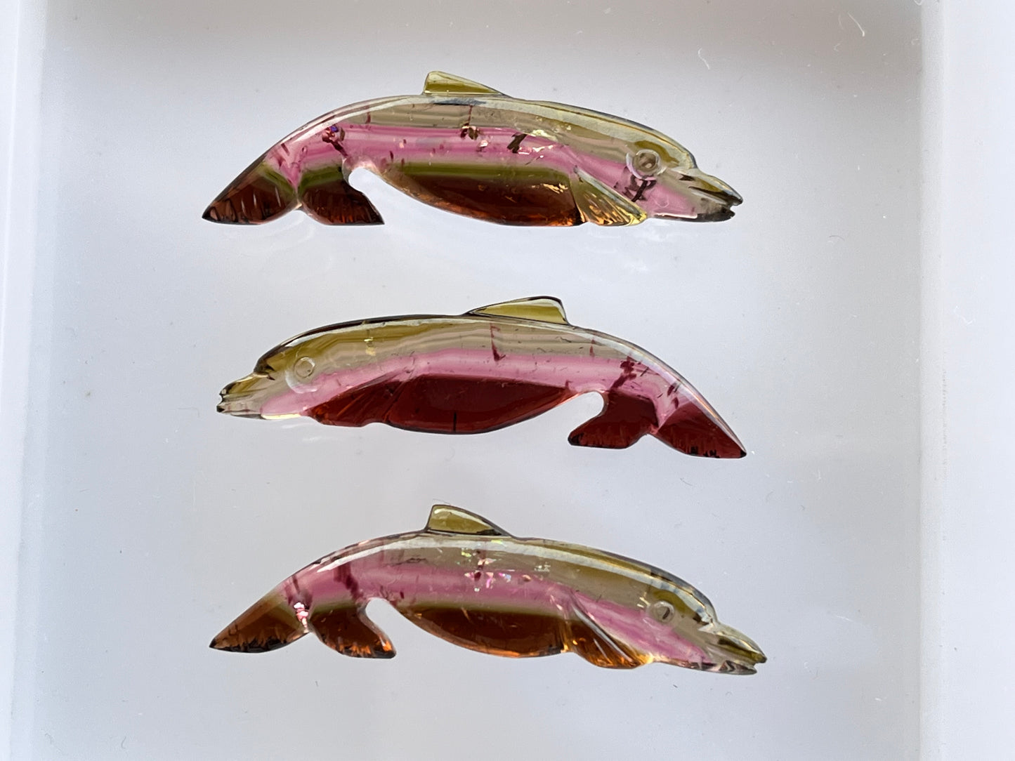 Rare! Natural Tri-Color Tourmaline Dolphin Carving loose