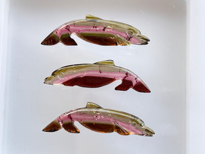 Rare! Natural Tri-Color Tourmaline Dolphin Carving loose