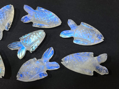 Rainbow Moonstone Fish Loose carving
