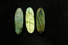 LABRADORITE Cabochon Oval Shape | 11x35mm | 3 Pieces | Natural Gemstone Beads for Jewelry Making Beadsforyourjewelry