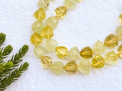 Lemon Green Gold and Prehnite Trillion Shape Faceted beads Beadsforyourjewelry