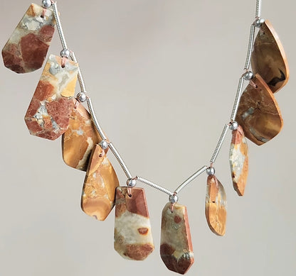 Natural Maligano Jasper Gemstone Fancy Crown Cut Pairs