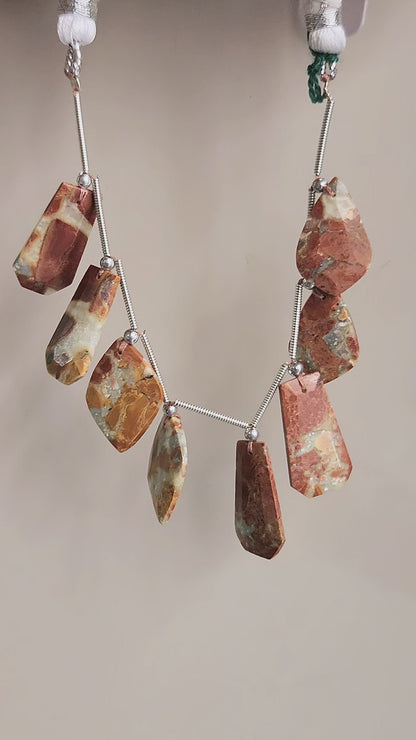 Natural Maligano Jasper Gemstone Fancy Crown Cut Pairs