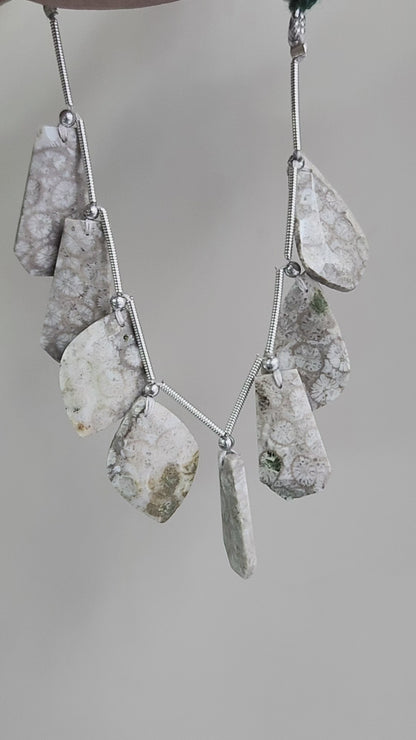 Natural Fossil Coral Jasper Gemstone Fancy Crown Cut Pairs