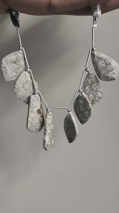 Natural Fossil Coral Jasper Gemstone Fancy Crown Cut Pairs