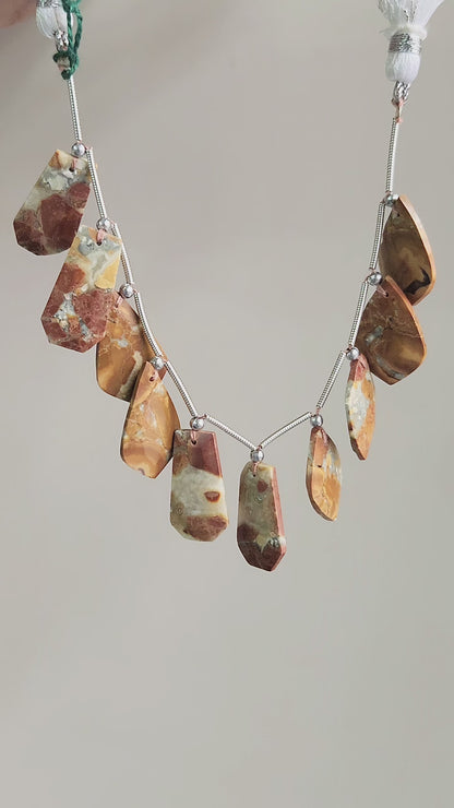 Natural Maligano Jasper Gemstone Fancy Crown Cut Pairs